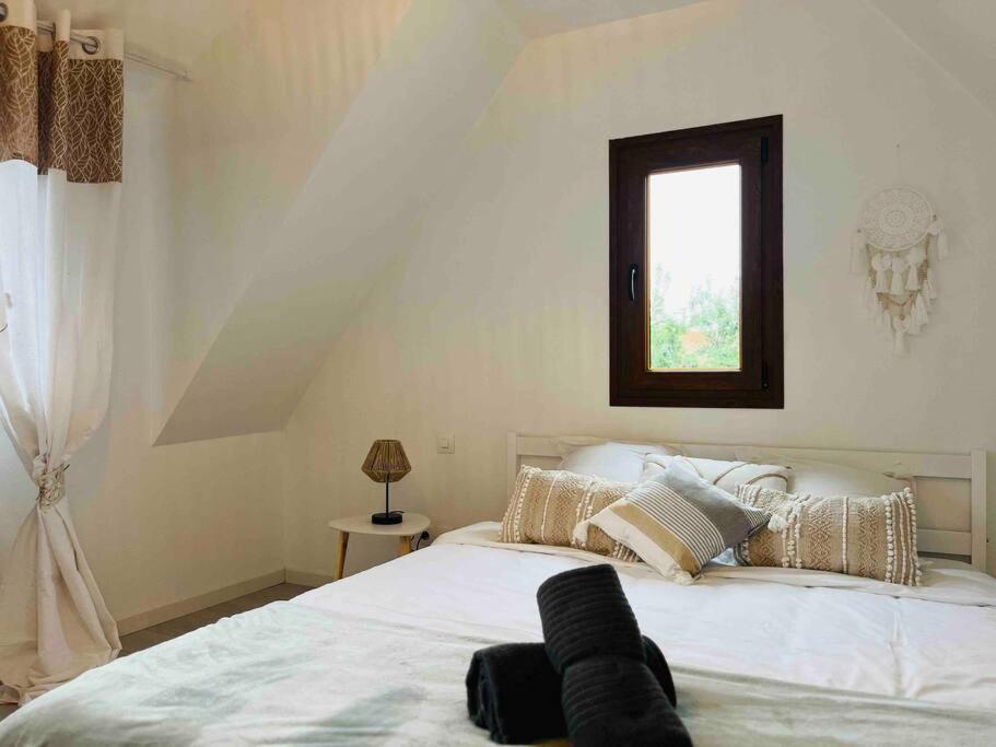 S'Hiesele Petite Maison Alsacienne Typique Ittenheim Exteriör bild