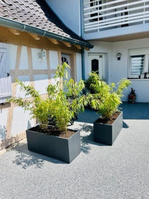 S'Hiesele Petite Maison Alsacienne Typique Ittenheim Exteriör bild